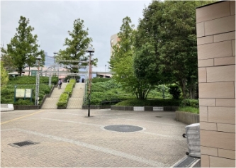 office-root-image02